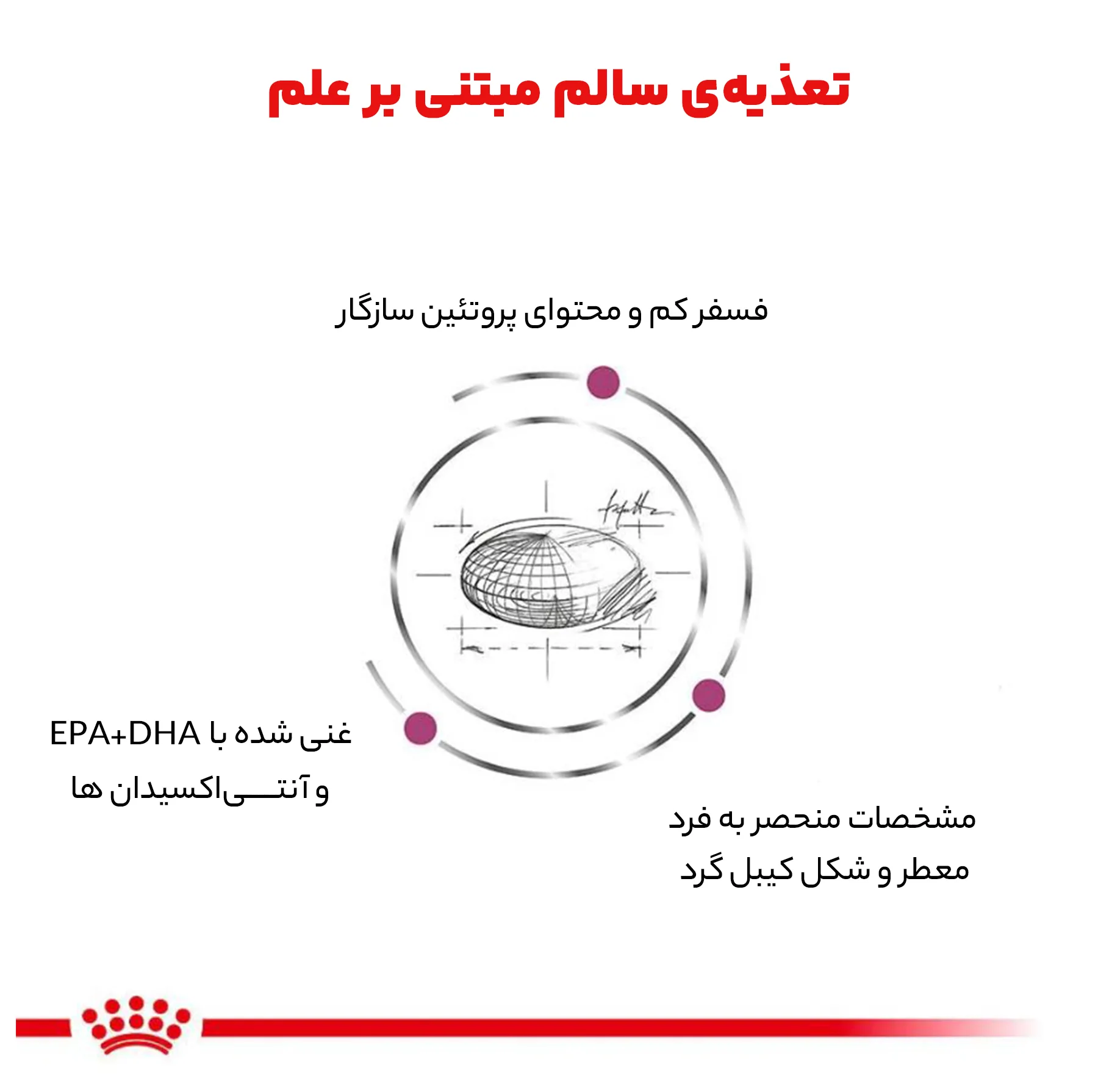 غذای خشک گربه رویال کنین مدل رنال وزن 2 کیلوگرم