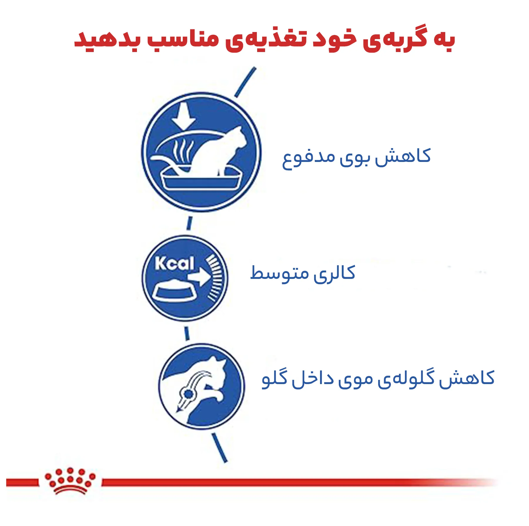 غذای خشک گربه رویال کنین مدل Home Life Indoor وزن 2 کیلوگرم