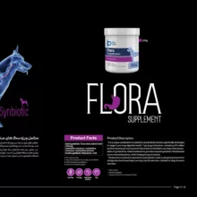 پودر پروبیوتیک و پری‌بیوتیک سگ بایو پت مدل Flora وزن 400 گرم