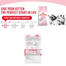 غذای خشک گربه رویال کنین مدل mother and babycat کد 2021 وزن 400 گرم