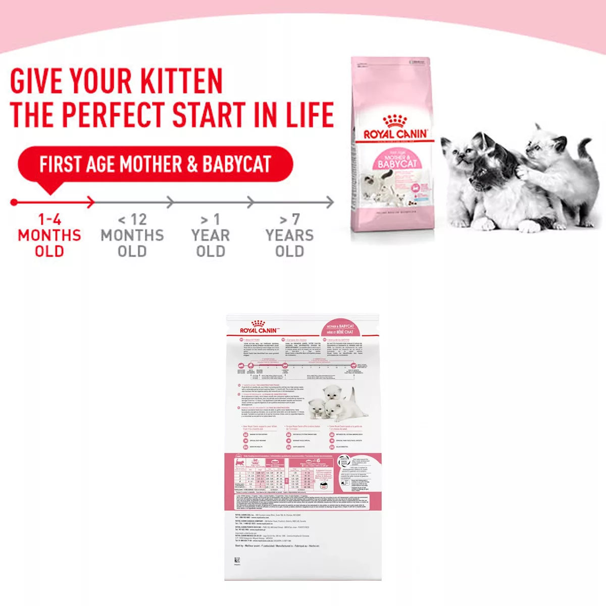 غذای خشک گربه رویال کنین مدل mother and babycat کد 2021 وزن 400 گرم