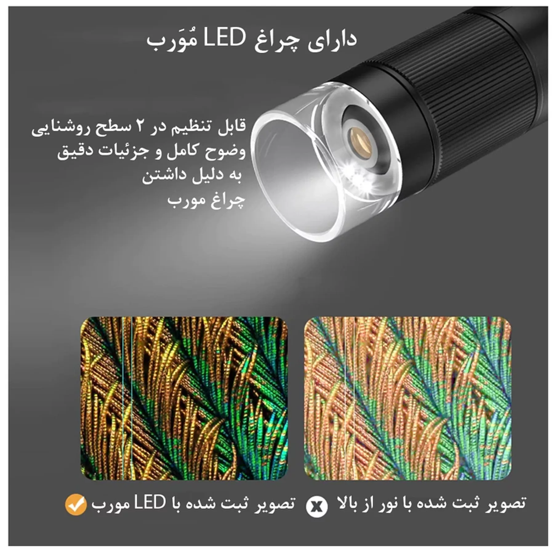 میکروسکوپ دیجیتال اپیکسل مدل FULL HD USB 2024 به همراه کیف