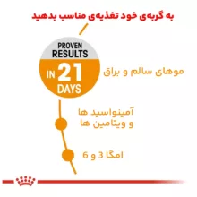 غذای خشک گربه رویال کنین مدل Hair and Skin وزن 2 کیلوگرم