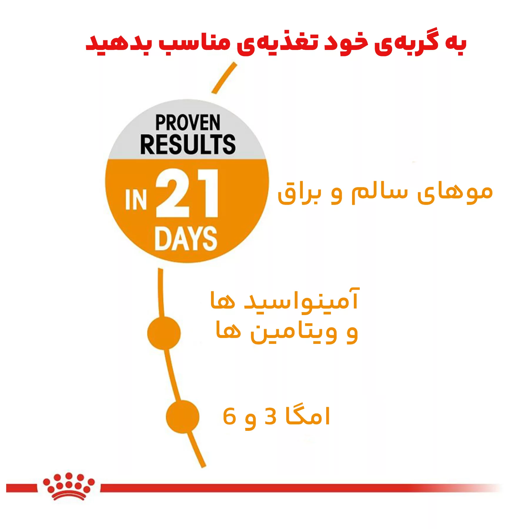 غذای خشک گربه رویال کنین مدل Hair and Skin وزن 2 کیلوگرم