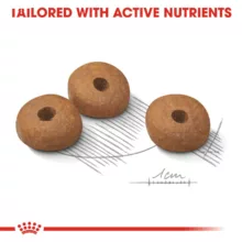 غذای خشک سگ رویال کنین مدل Mini Light Weight Care وزن 3 کیلوگرم