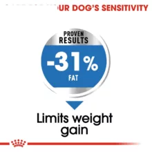 غذای خشک سگ رویال کنین مدل Mini Light Weight Care وزن 3 کیلوگرم