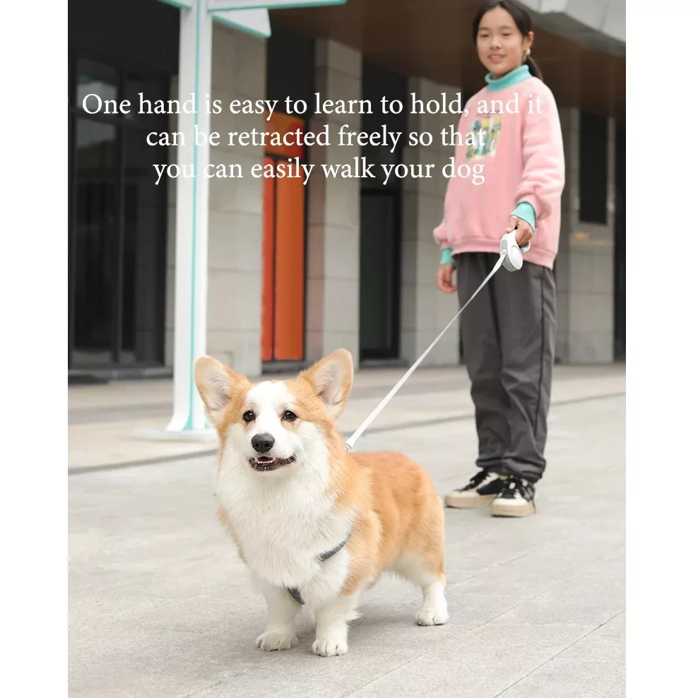 بند قلاده آلوا مدل Auto-WHT730-5M