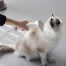 ماشین اصلاح سگ و گربه پرودو مدل LFST081