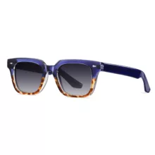 عینک آفتابی ویفرر آلبرت وگ مدل S31105C4 Polarized Avantgarde Visionary