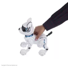 ربات کنترلی طرح سگ جین شینگ دا کد 01