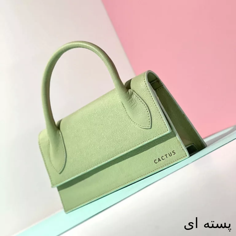 کیف دستی زنانه چرم کاکتوس مدل Wb4021