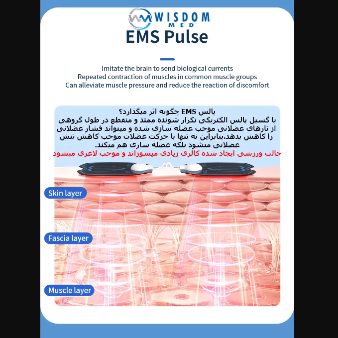 ست لاغری ویزدام مد مدل fitness بسته 2 عددی