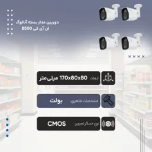 دوربین مدار بسته آنالوگ ان آی کی مدل B500 بسته 4 عددی