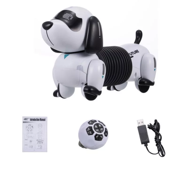 ربات کنترلی مدل سگ