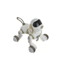 ربات کنترلی مدل  سگ