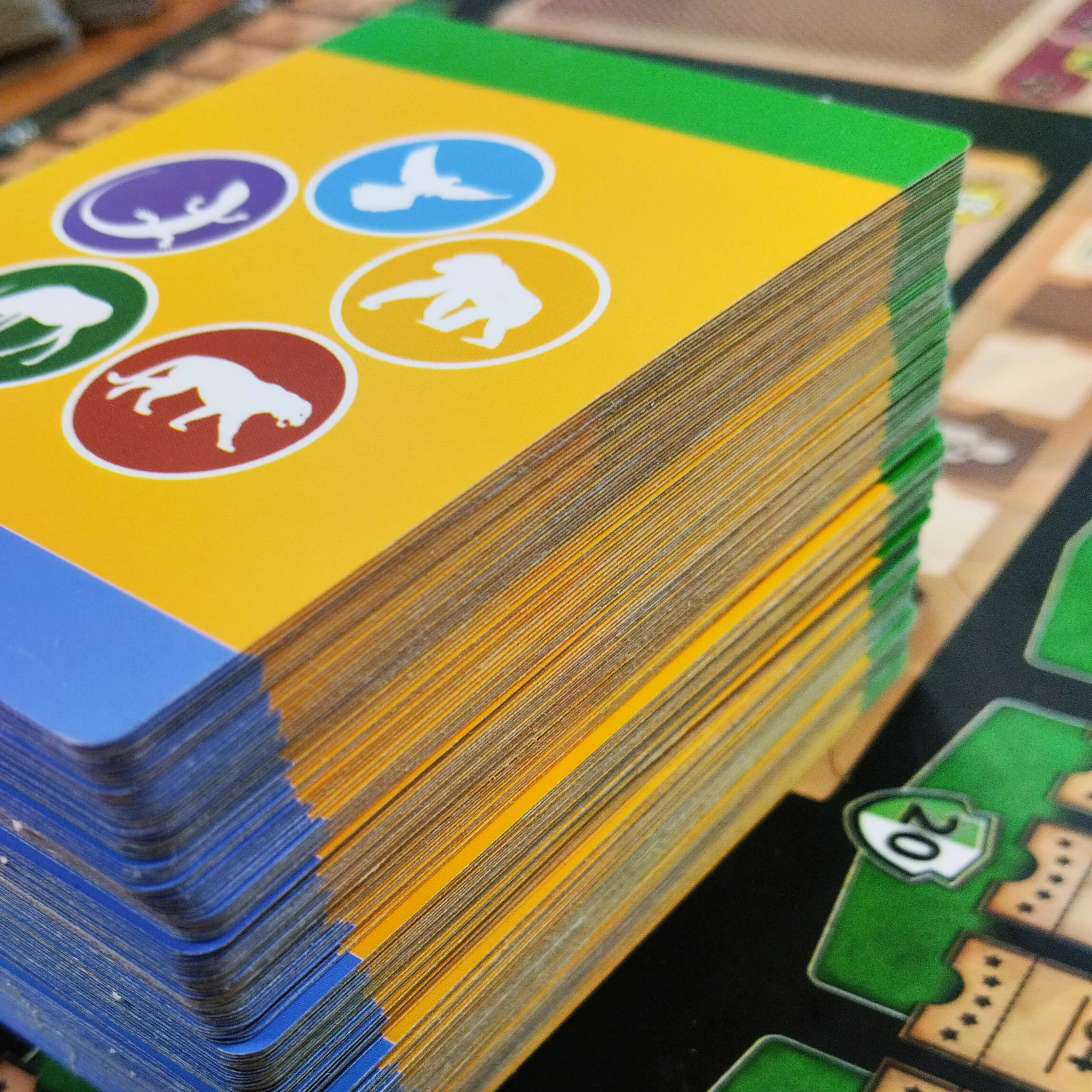 بازی فکری مدل آرک نووا Ark Nova