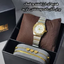 ساعت مچی عقربه ای زنانه اسکمی مدل 2342TGD-Verganti به همراه دستبند