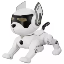 ربات کنترلی مدل Stunt Dog