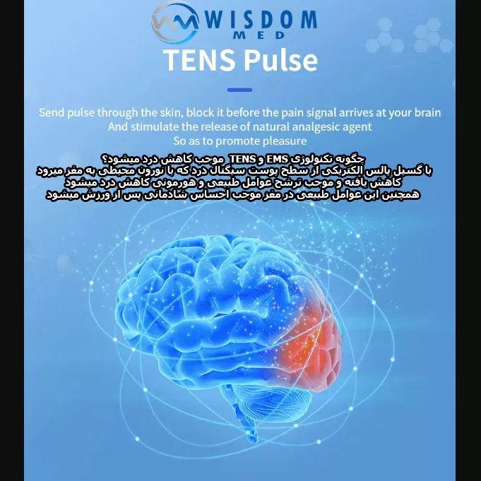 ست لاغری ویزدام مد مدل fitness بسته 2 عددی