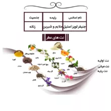 ادو پرفیوم مردانه ایفوریا مدل لالیک بلک با رایحه گرم و تلخ حجم 100 میلی لیتر