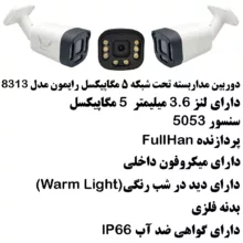 دوربین مداربسته تحت شبکه رایمون مدل 5 مگاپیکسل کد 8313