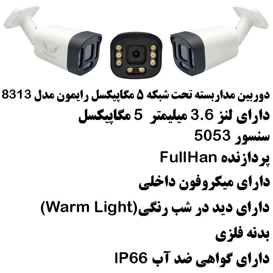دوربین مداربسته تحت شبکه رایمون مدل IP-POE کد 8313