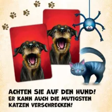 بازی فکری مدل گربه ها Kitties Best Edition