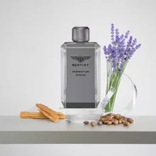 ادو تویلت مردانه بنتلی مدل Momentum Intense حجم 100 میلی لیتر