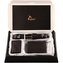 ست هدیه چرم بارز کد DS1.1.nw