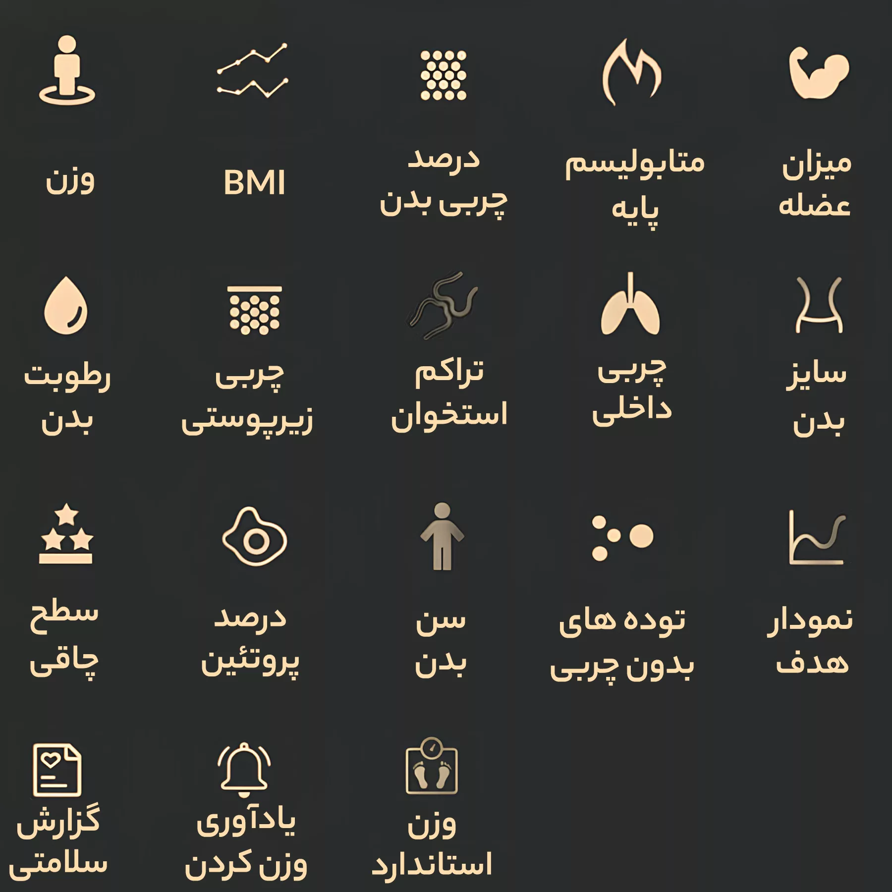 ترازو دیجیتال هایلو مدل CM01