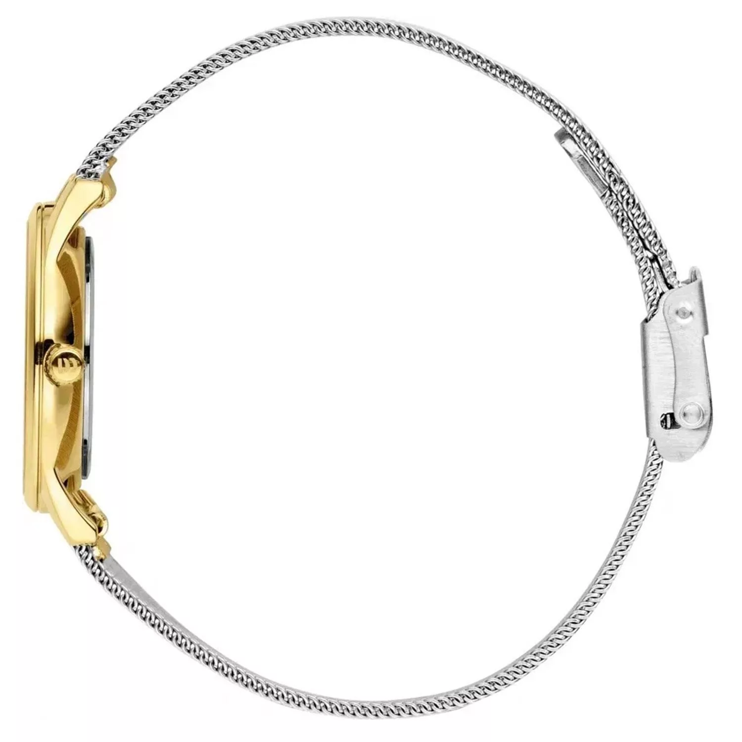 ساعت مچی عقربهای کوارتز زنانه دنیش دیزاین مدل IV65Q1063