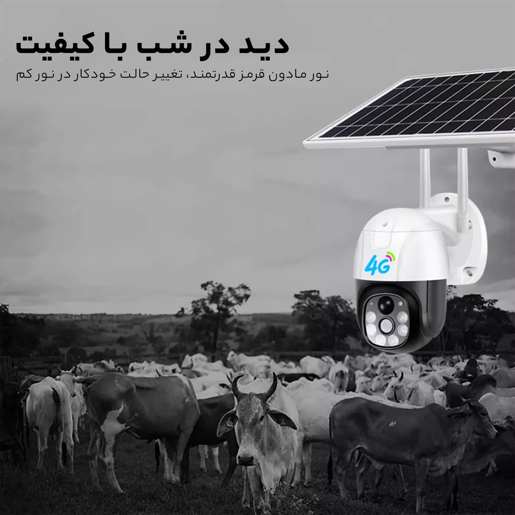 دوربین مداربسته تحت شبکه مدل TP5