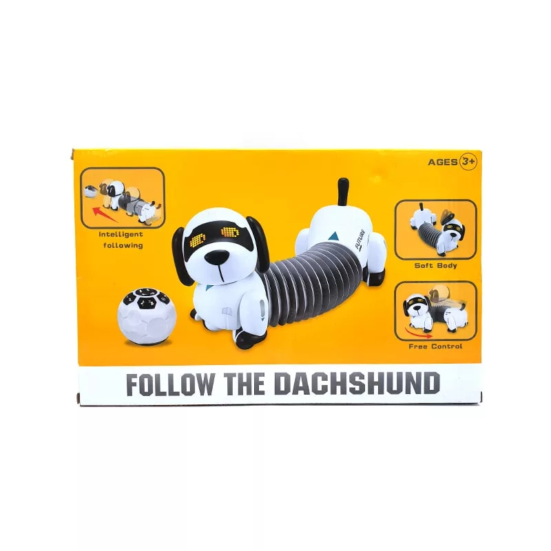 ربات کنترلی مدل سگ