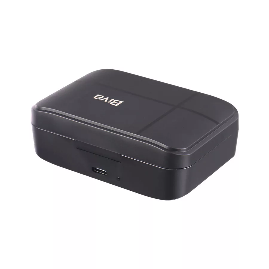ست میکروفن بی سیم بیوا مدل WM-04