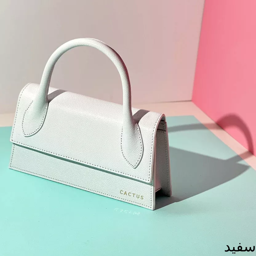 کیف دستی زنانه چرم کاکتوس مدل Wb4021