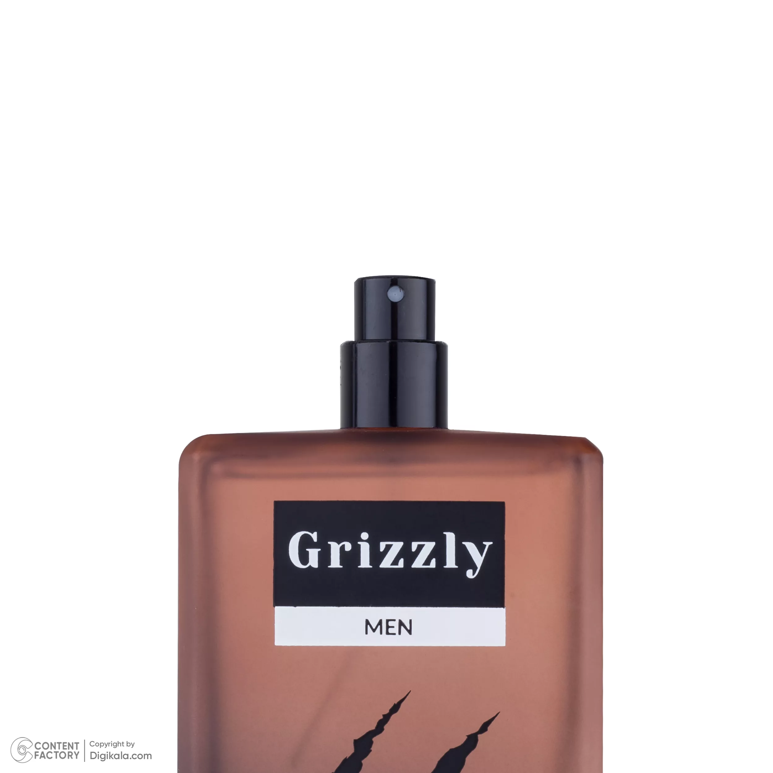 ادو تویلت مردانه النترا مدل Grizzly حجم 100 میلی لیتر