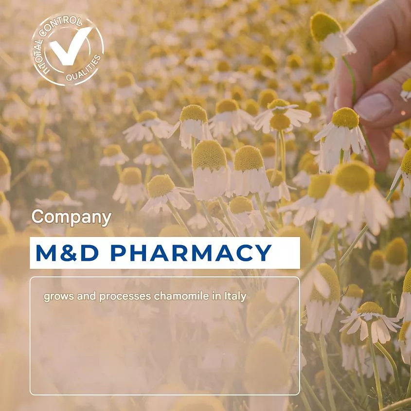 ژل بهداشتی کامومیلا مدل Honey Pure حجم 300 میلی لیتر