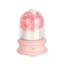 دستگاه بخور سرد مدل Classic Flower