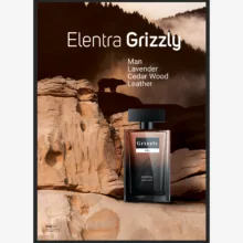 ادو تویلت مردانه النترا مدل Grizzly حجم 100 میلی لیتر