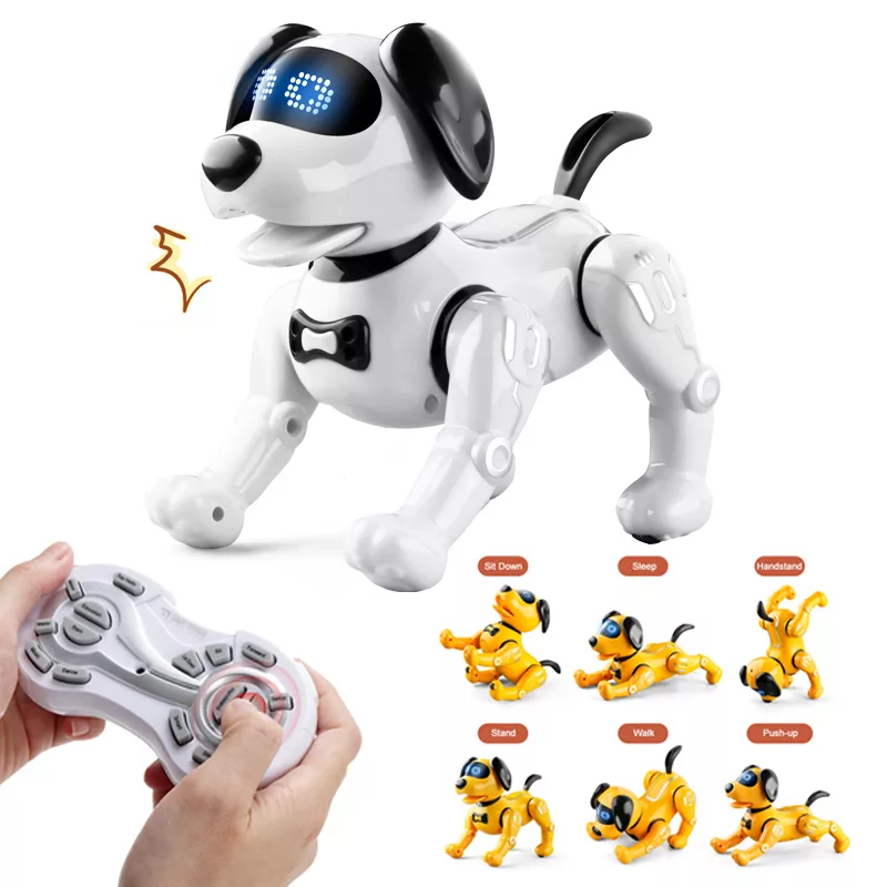 ربات کنترلی مدل سگ کد R19