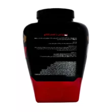 پودر وی پروتئین با طعم وانیل آرمسترانگ - 1800 گرم