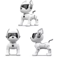 ربات کنترلی مدل Stunt Dog