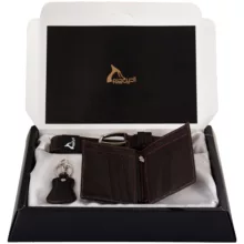 ست هدیه چرم بارز مدل DS63.1