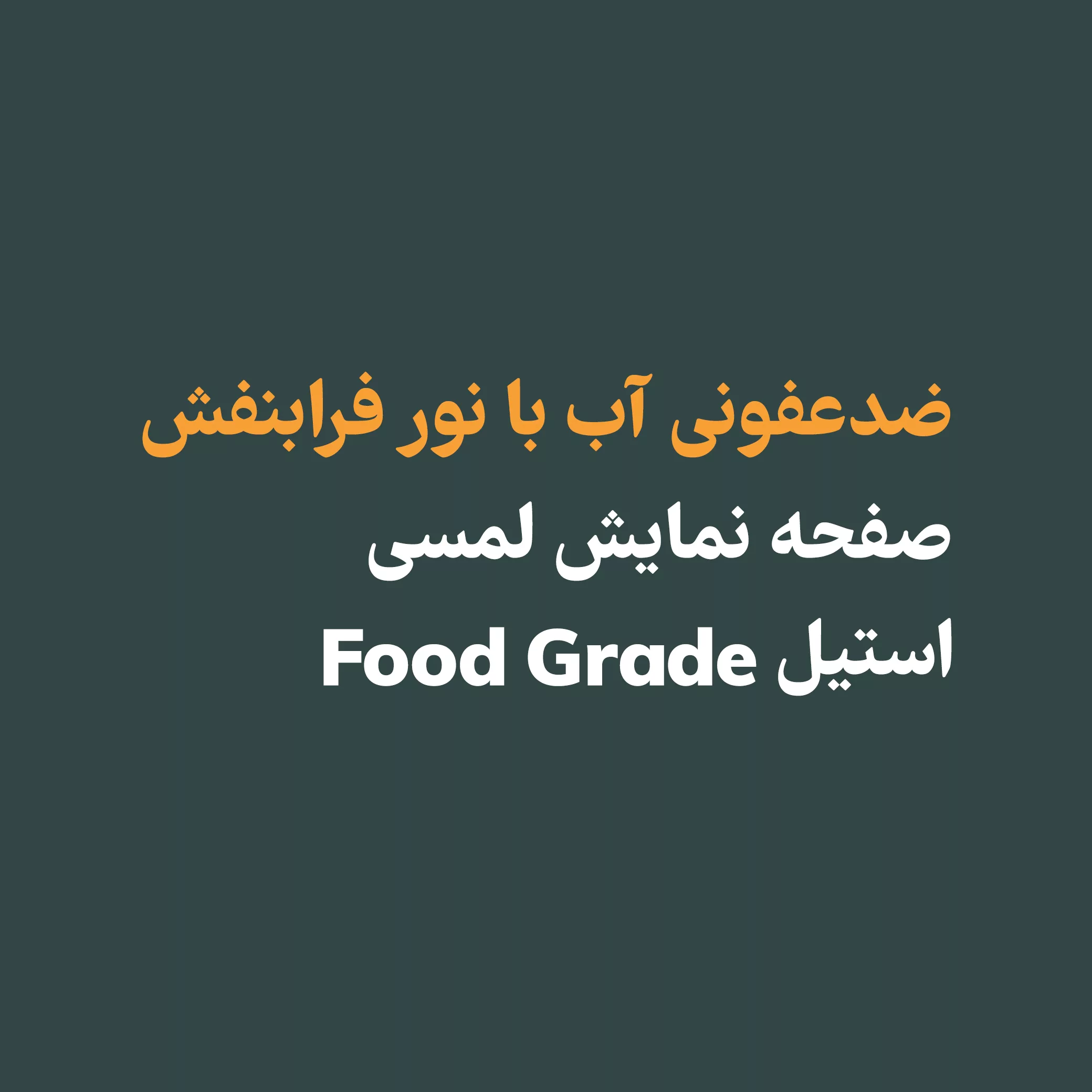 قمقمه تصفیه آب کد BOTLT20-SEK01