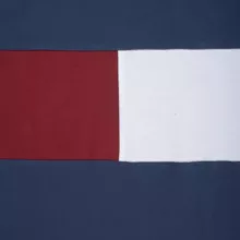 ست تی شرت و شلوارک مردانه مادر مدل رابرت