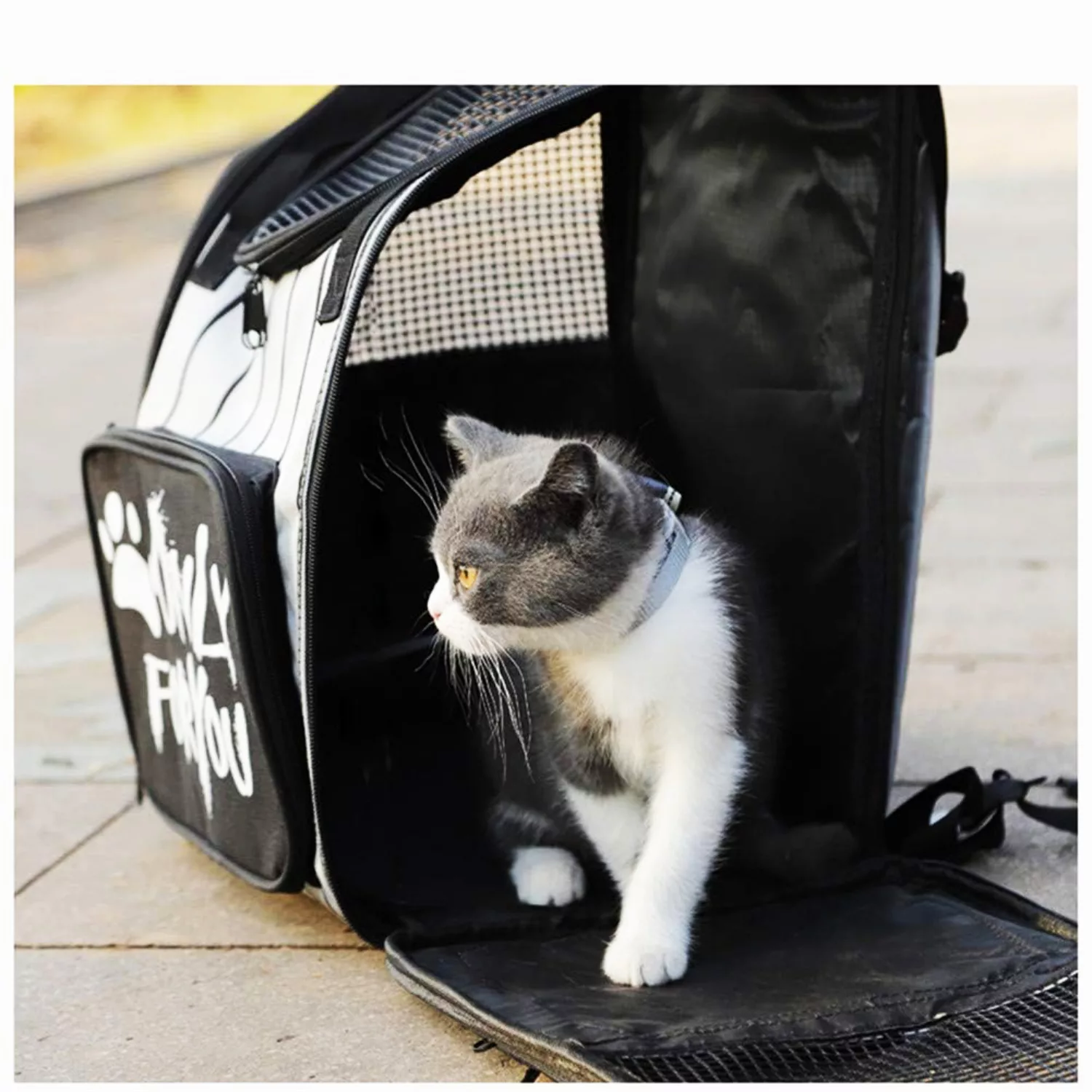 کوله پشتی حمل سگ پت لیبرو مدل PL-BG0020