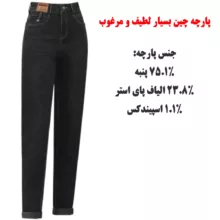 شلوار جین زنانه مدل زمستانی کد A366