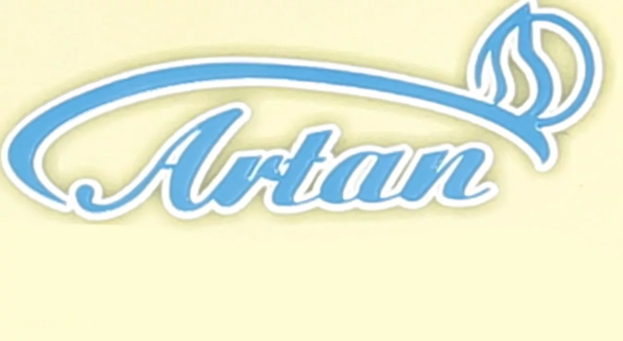 گن مردانه آرتان کد 2072