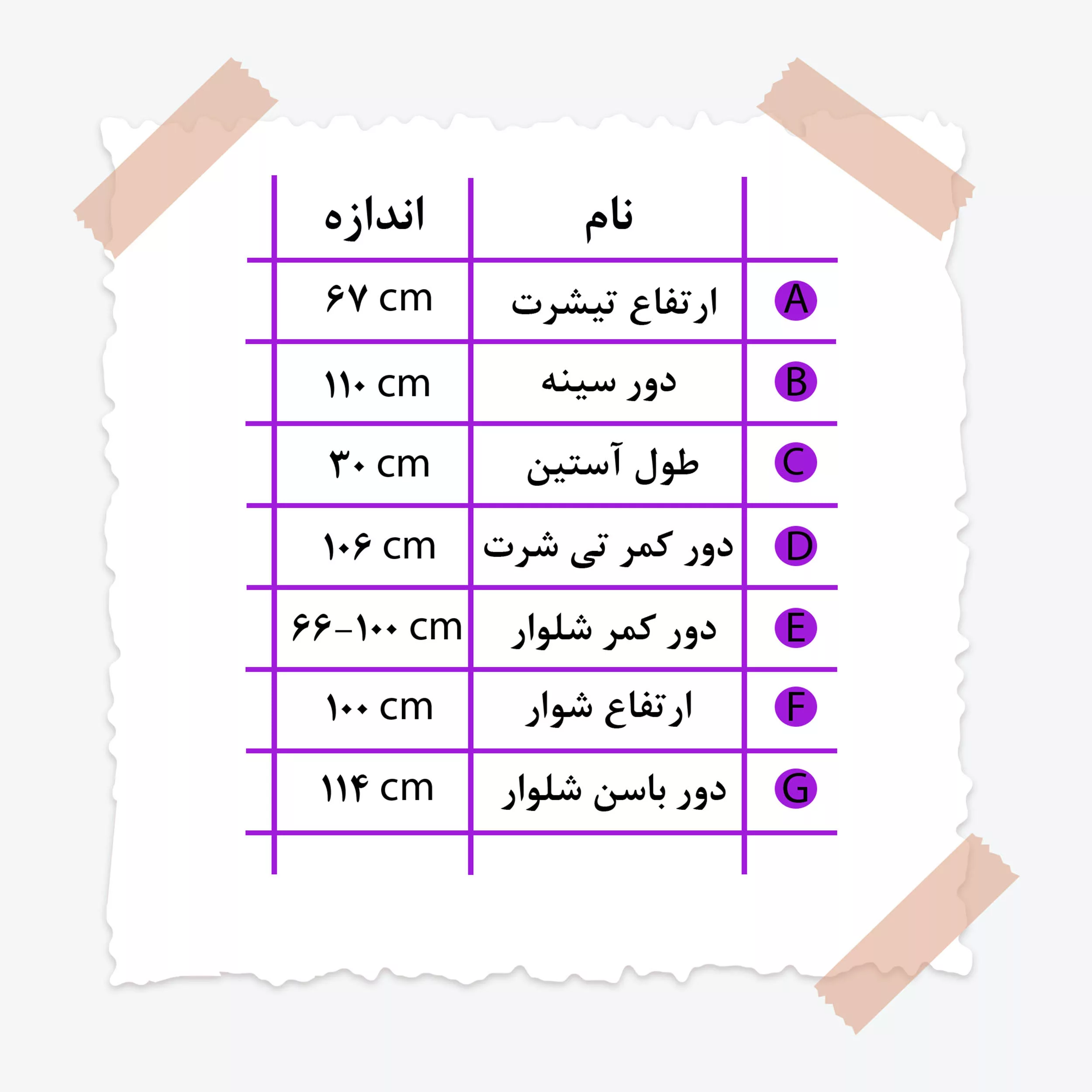 ست تی شرت آستین کوتاه و شلوار راحتی زنانه مدل دینا 01