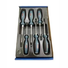 پيچ گوشتی بوش مدل 1600a01v09 بسته 6 عددی